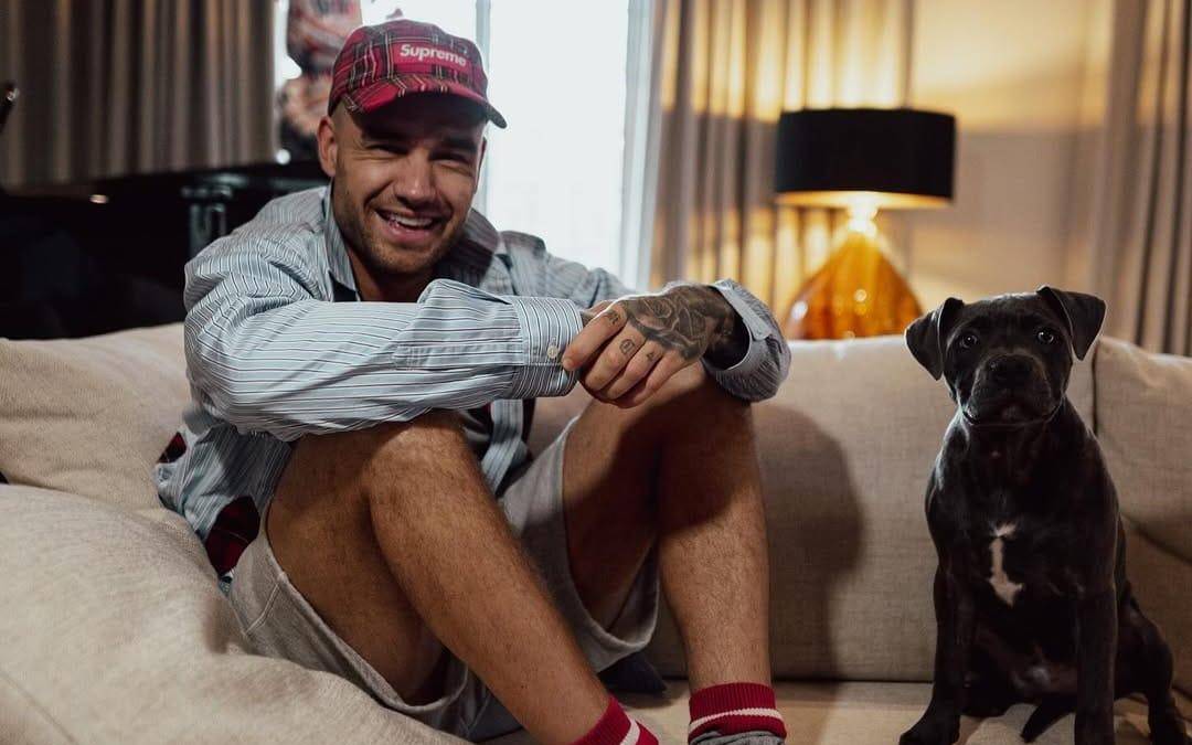 Liam Payne brilla por ultima vez en reality de Netflix Liam Payne brilla por ultima vez en reality de Netflix