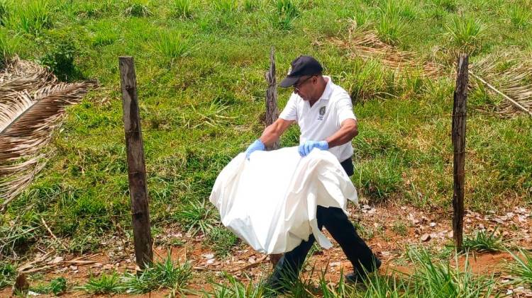 Los restos hallados no han podido ser comprobados que se de Anabel