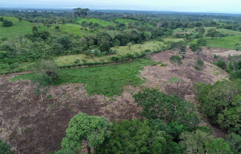 Zona afectada en la provincia.