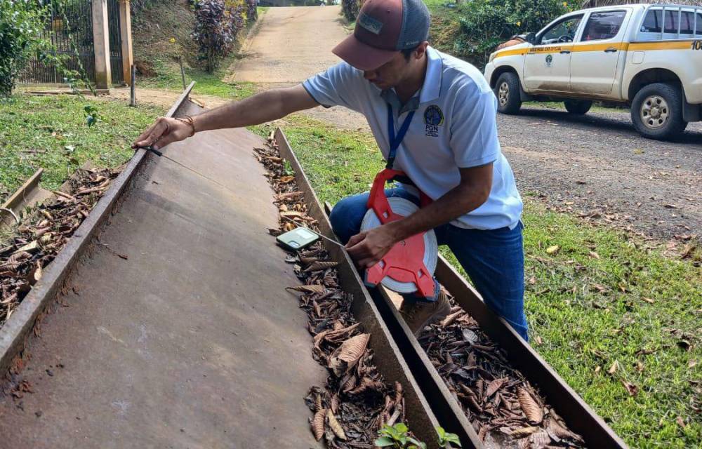 Hasta ahora se han logrado recuperar 124 vigas de las que fueron sustraídas del patio ubicado en Farfán.