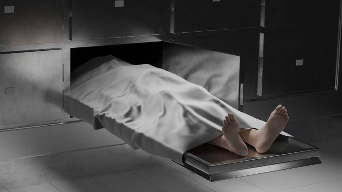 La defensa aducía que el inginiero no quería hacerle daño, pero que cuando se dio cuenta estaba muerta.