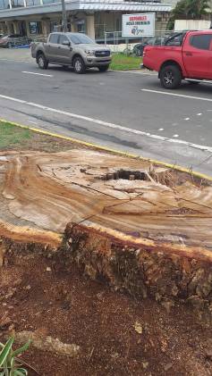 Piden investigación frente a este caso.