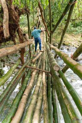 Evalúan la construcción de un puente tipo zarzo en la comunidad de Mayo