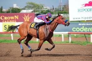 Yonis Lasso ya suma 33 victorias.