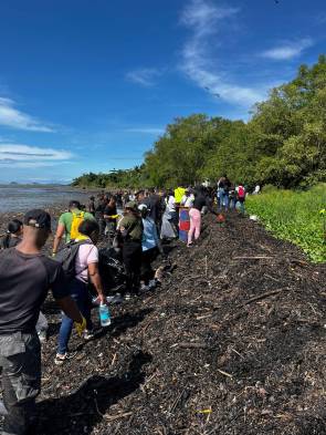 Realizan limpieza de ríos y playas