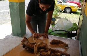 Los dos ejemplares de iguana verde fueron cazados dentro de una zona silvestre protegida y custodiado por los guardaparques de Polígono de Tiro Emperador y Balboa Oeste del Ministerio de Ambiente, en la cual la caza es estrictamente prohibida, resaltó la técnica.