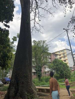 Ambientalistas en contra de proyecto en Brooklincito
