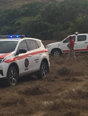 Los Bomberos dieron asistencia a los afectados por la  abejas.