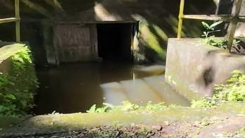 ¿Extraterrestre en el Parque Natural Metropolitano?, Esto dice la administración