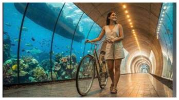 El pasado 24 de febrero, el alcalde informó que la ciudad presentó oficialmente ante The Boring Company la propuesta del túnel peatonal bajo el Canal de Panamá.