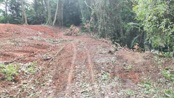 Área inspeccionada por las autoridades.
