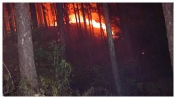 Ministerio de Ambiente (MiAMBIENTE) presentará una denuncia ante el Ministerio Público.