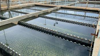 Los trabajos en la planta de Pacora forman parte del proceso de modernización del sistema de agua potable en Panamá Este.