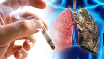 Estas convenciones responden a la necesidad de lograr acuerdos mundiales sobre cómo afrontar la pandemia de tabaquismo.