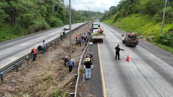 Más de 100 ciudadanos participaron en la limpieza y recuperación de la isleta del Puente Centenario, en una intervención que busca mejorar la seguridad vial y el entorno urbano.