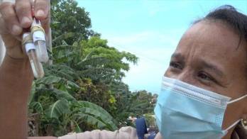 Minsa confirma 13 casos de dengue en región metropolitana