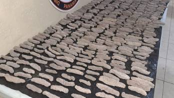 Las autoridades informaron que se ha iniciado una investigación para localizar tanto al remitente como al destinatario del envío.