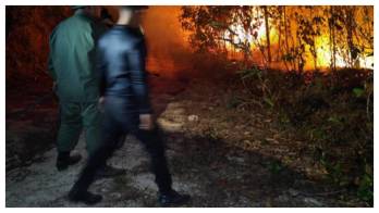 Las llamas han devastado más de 150 hectáreas de bosque pinar y rastrojos en la Reserva Forestal La Yeguada.