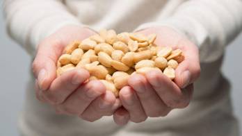 El maní y sus aportes a la salud&nbsp;