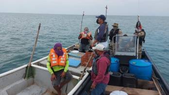 Un solo decomiso en Coclé en veda del camarón