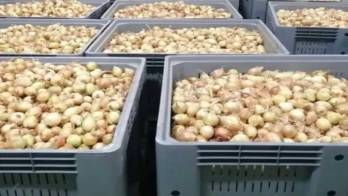 El producto podría no cumplir con los estándares de calidad establecidos.