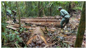La policía procedieron a documentar el área mediante fotografías.