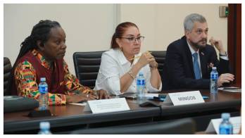 El 17 de marzo, la junta directiva solicitó al presidente José Raúl Mulino la separación temporal de Góndola.