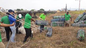 Privados de libertad trabajan por el ambiente&nbsp;