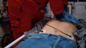 En lo que va del mes de febrero se han reportado 12 homicidios a nivel nacional.