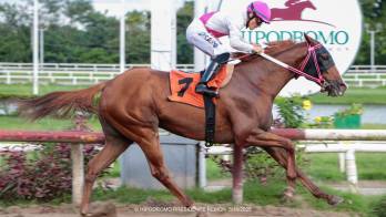 El ganador llegando a la meta en el Hipódromo Presidente Remón.