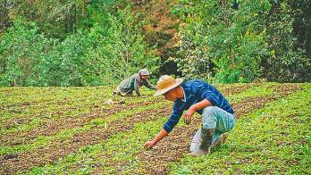 Sufrieron grandes pérdidas.