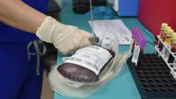 Exhortan a la población a acudir a donar.