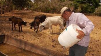 El sector agropecuario debe estar preparado para disminución de lluvias en agosto, y un prolongado verano en 2024.