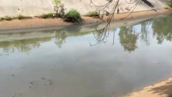 MiAmbiente hizo un llamado a la ciudadanía a denunciar cualquier práctica que pueda poner en riesgo los ríos.