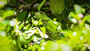 La humanidad sigue abusando del mundo natural