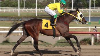 Hipica: ‘El Sajón’ se impuso con claridad