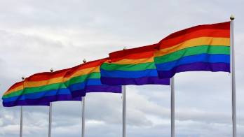 El Senado de Florida aprueba el polémico proyecto No digas gay