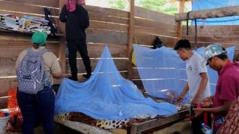 Minsa instalará 400 mosquiteros en Chiriquí&nbsp;