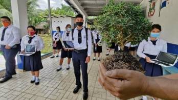 Sembrar árboles, nuevo requisito para graduarse de bachillerato en Panamá.