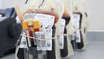 Actualmente hay 28 bancos de sangre en el territorio nacional.