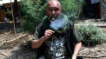 México, estancado en el camino hacia la legalización del cannabis