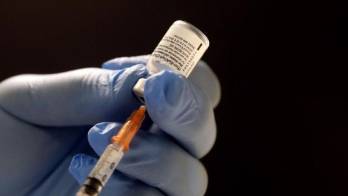 Médicos veterinarios piden ser vacunados&nbsp;