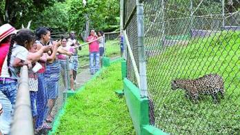 Miambiente explica la reactivación del cobro a visitantes en las áreas protegidas