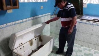 Se verificaron las neveras y alamacenaje de los peces.