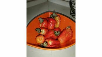 Se puede comer en jaleas, jugos y dulces.