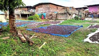 Mordi en Wargandi y su camino hacia el progreso