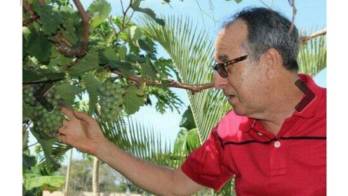 Familiares y amigos llegan a la residencia de Álvaro a cerciorarse de que la fruta es real.