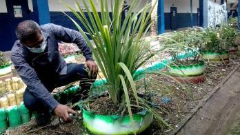 Se espera que se entreguen a los alumnos los árboles.