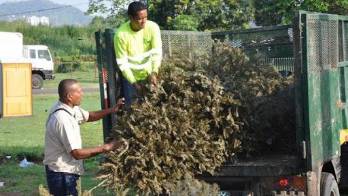 Cómo guardar y preservar los adornos navideños para enero 2021