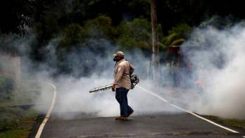 En 2021 se registró 14 casos de zika